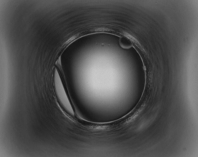 X0000086290841200704131546