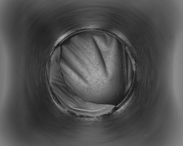 X0000086290842200704131546