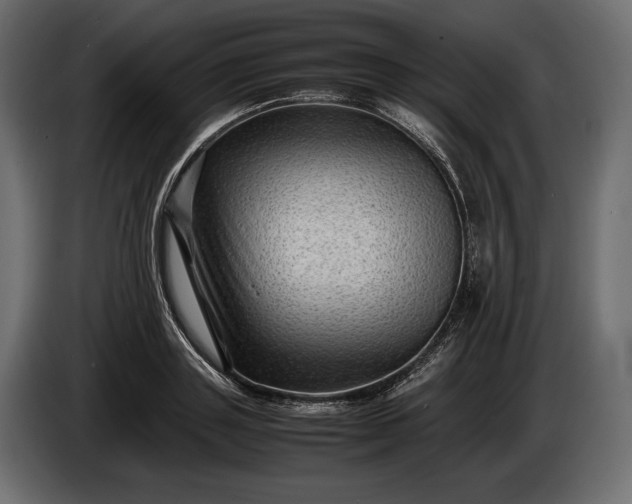 X0000086290843200704131546