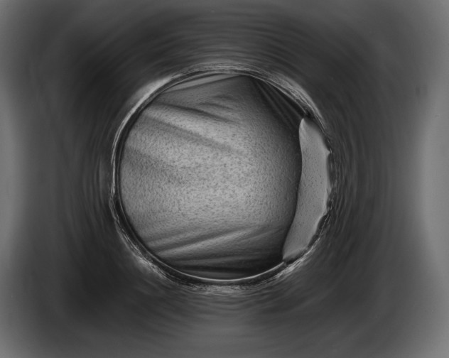 X0000086290844200704131546