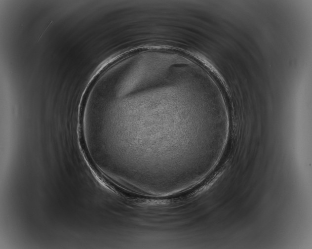 X0000086290845200704131546