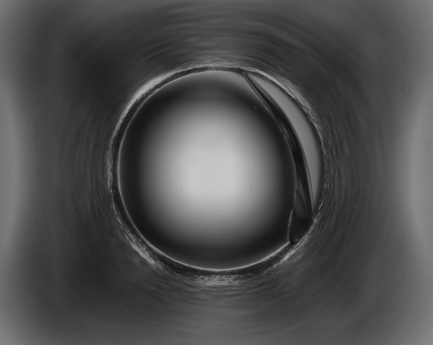 X0000086290846200704131546