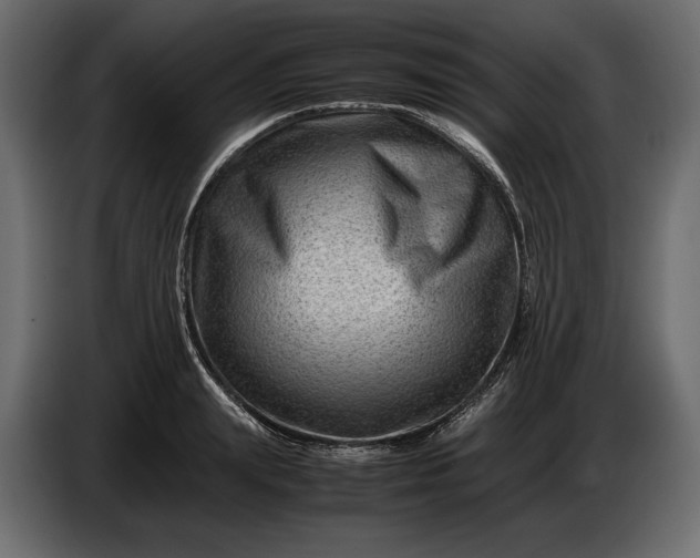 X0000086290847200704131546
