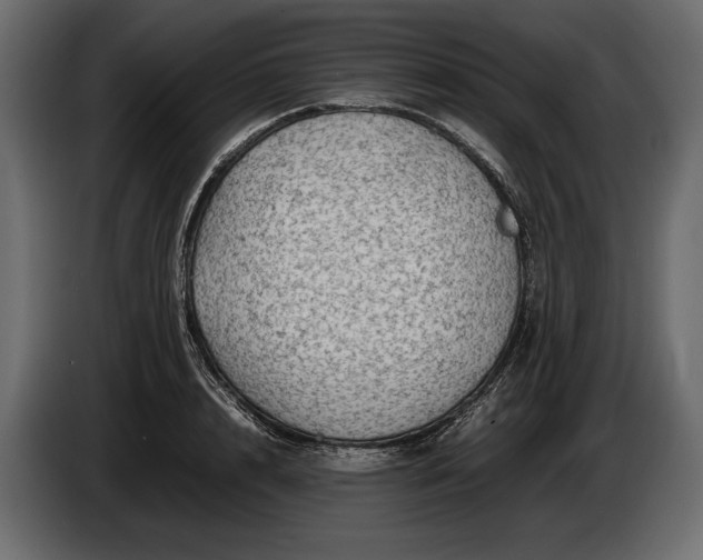 X0000086290848200704131546