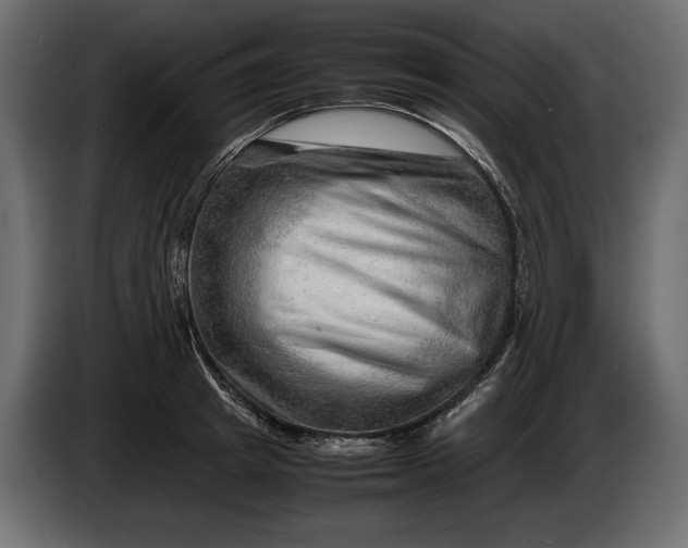 X0000086290849200704131546