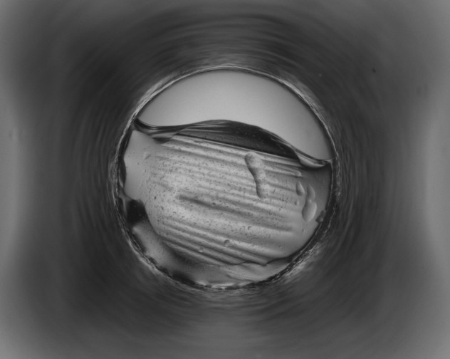 X0000086290850200704131546