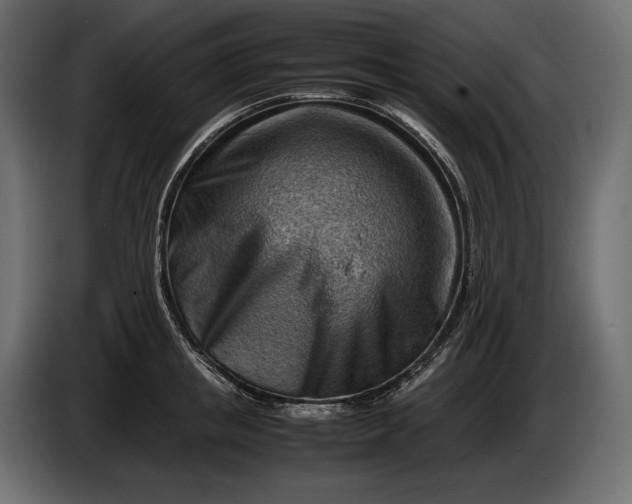 X0000086290853200704131546
