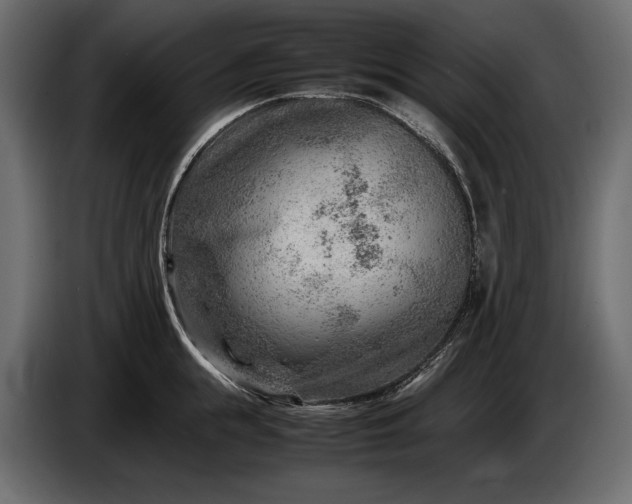 X0000086290855200704131546