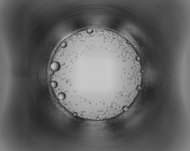 X0000086290856200704131546