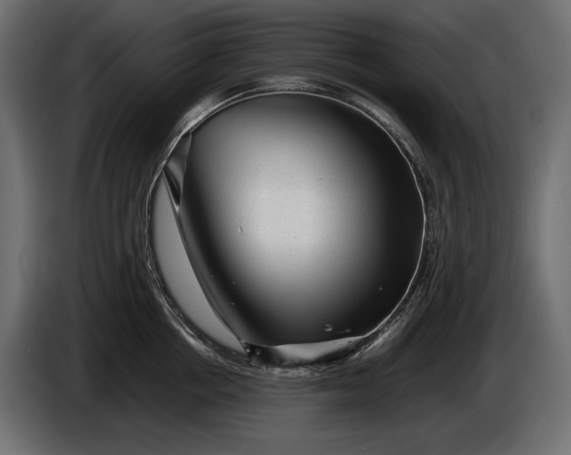X0000086290858200704131546