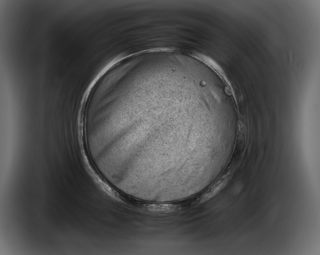 X0000086290859200704131546