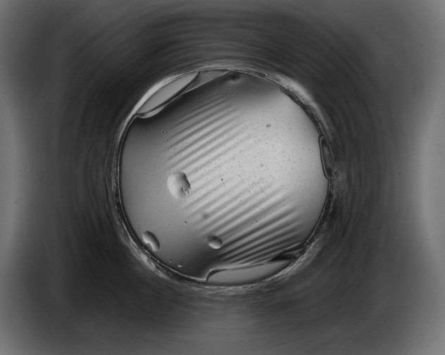 X0000086290860200704131546