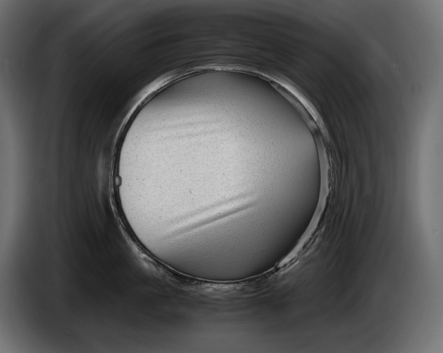 X0000086290861200704131546