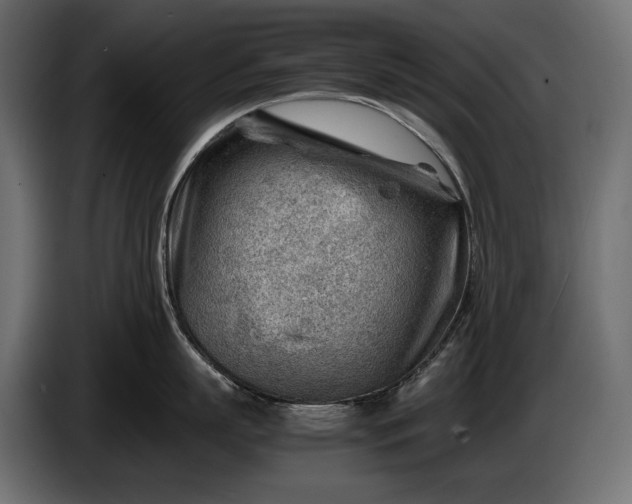 X0000086290863200704131546