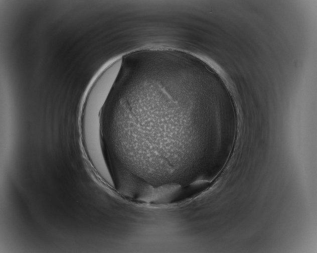 X0000086290864200704131546