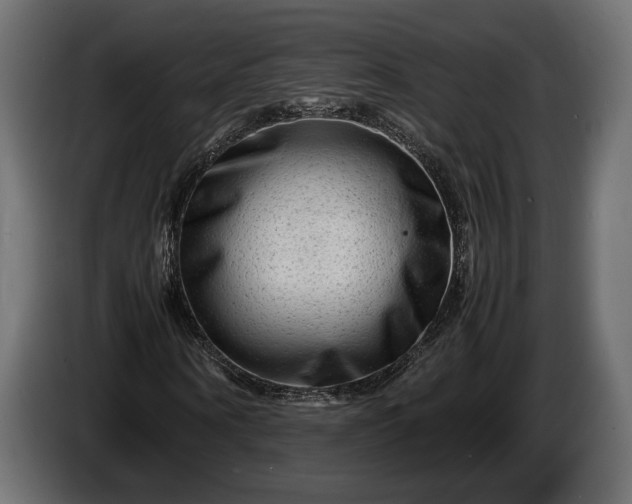 X0000086290866200704131545