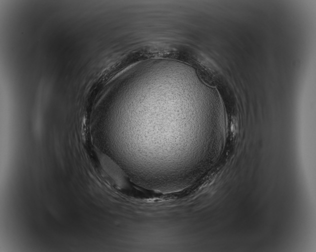 X0000086290867200704131545