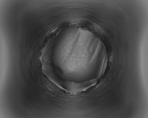 X0000086290868200704131545