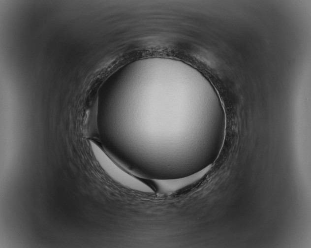 X0000086290869200704131545