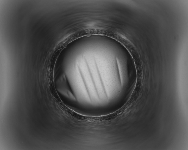 X0000086290870200704131545