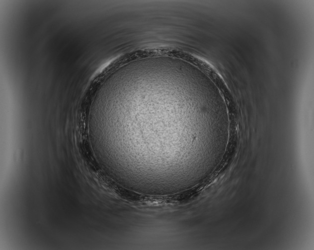 X0000086290871200704131545