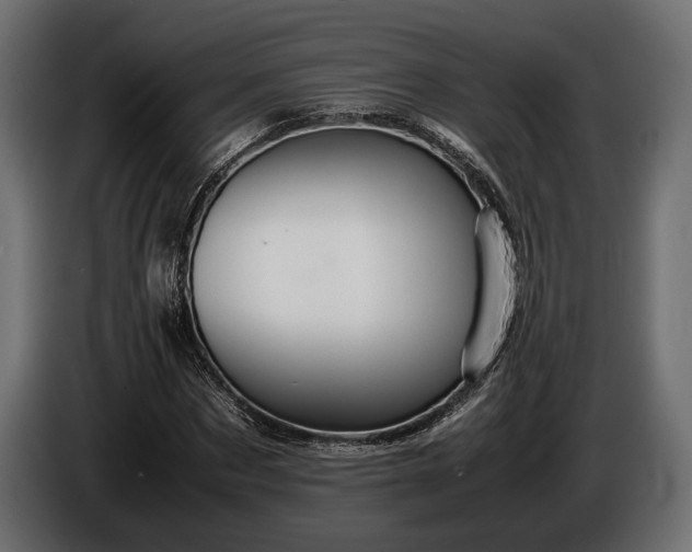 X0000086290873200704131545