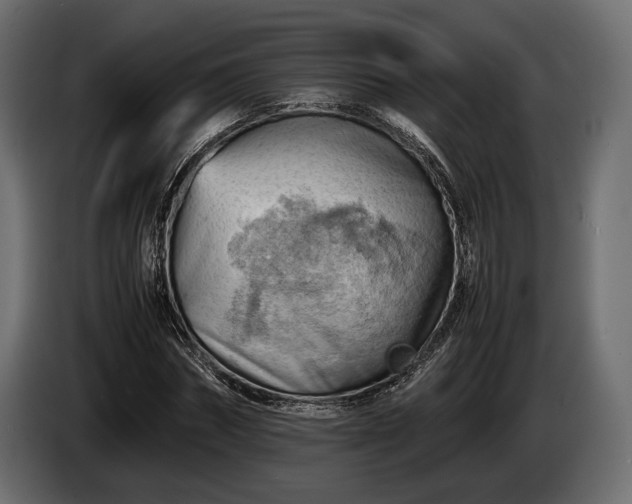 X0000086290874200704131545