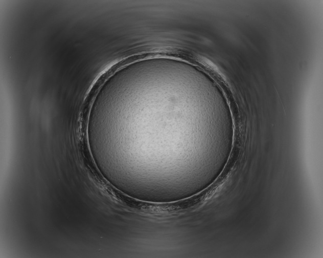 X0000086290875200704131545