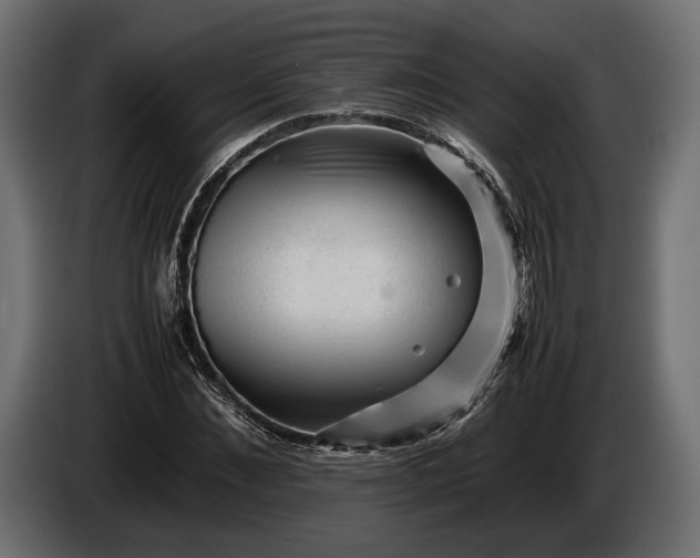 X0000086290876200704131545