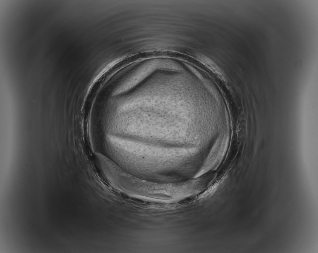 X0000086290877200704131545