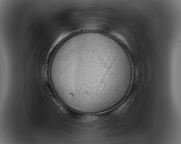 X0000086290878200704131545