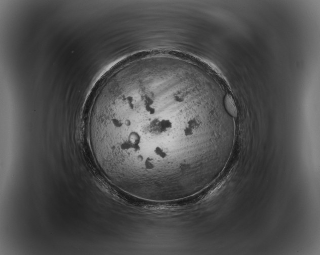 X0000086290879200704131545