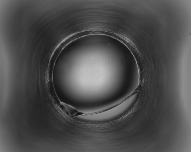 X0000086290880200704131545