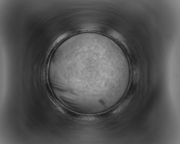 X0000086290882200704131545