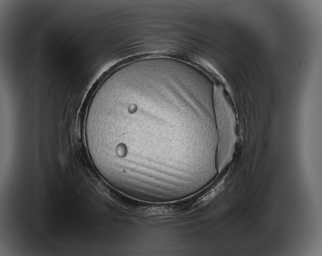 X0000086290883200704131545