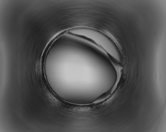 X0000086290884200704131545