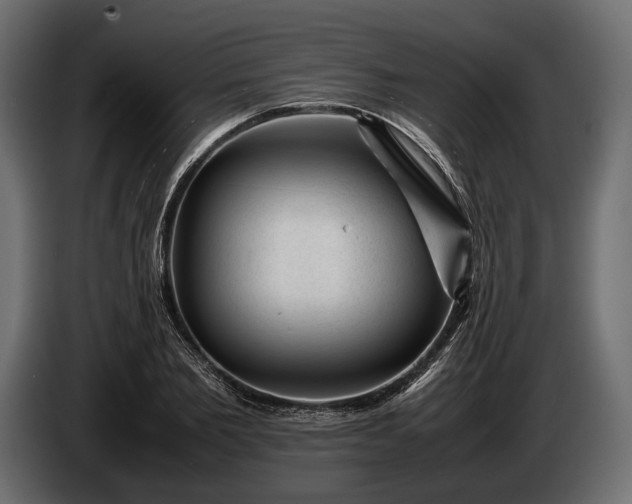 X0000086290885200704131545