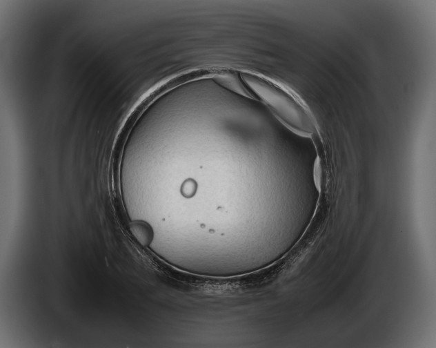 X0000086290887200704131545