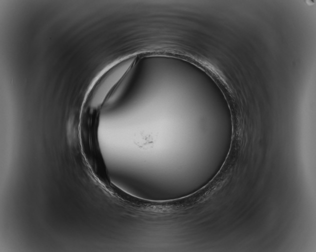 X0000086290888200704131545