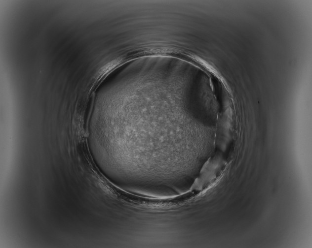 X0000086290889200704131545