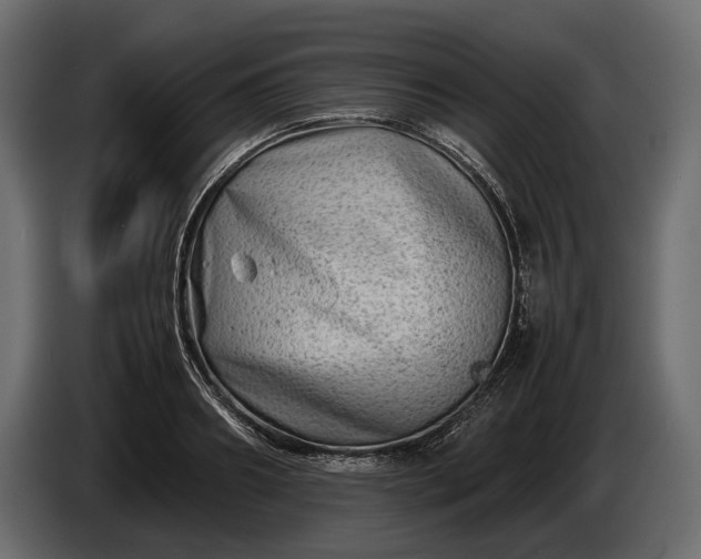 X0000086290890200704131545