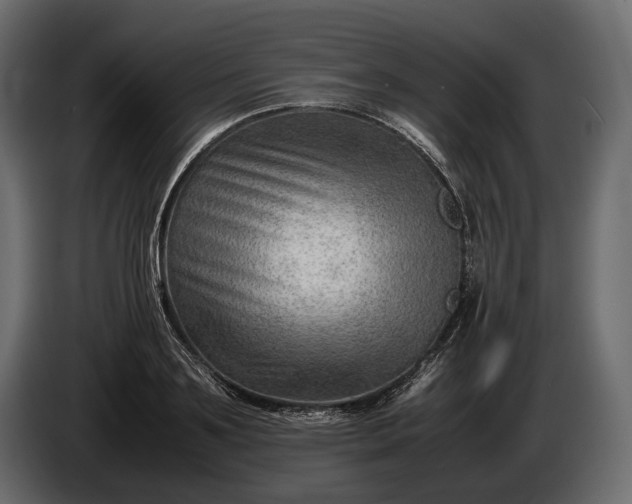 X0000086290891200704131545