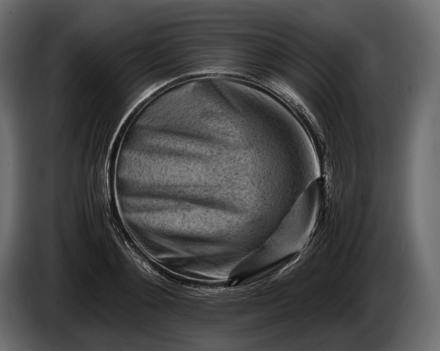 X0000086290892200704131545