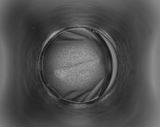 X0000086290893200704131545