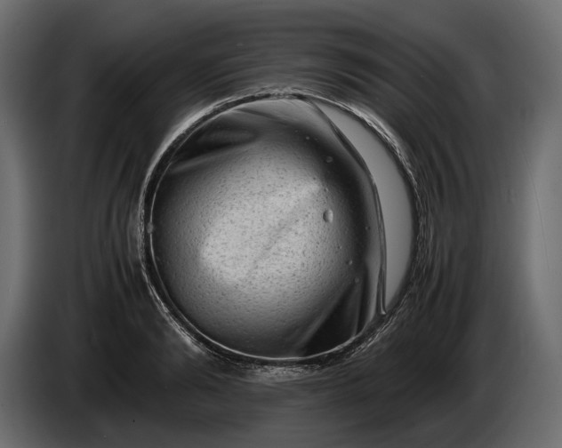 X0000086290894200704131545