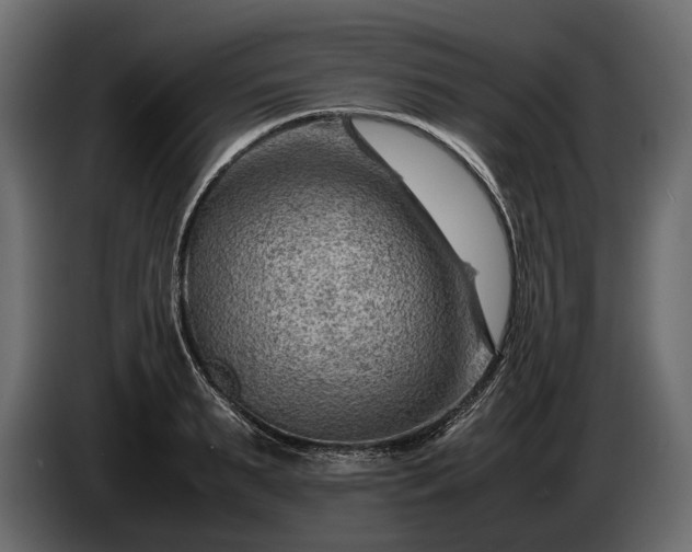 X0000086290895200704131545