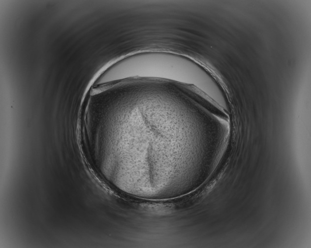 X0000086290896200704131545