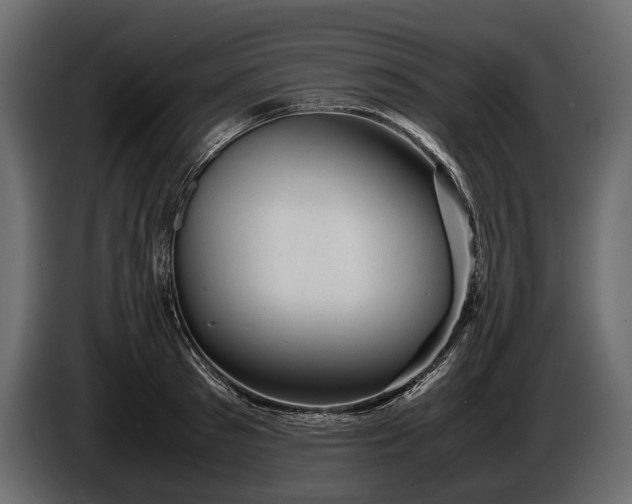 X0000086290897200704131545
