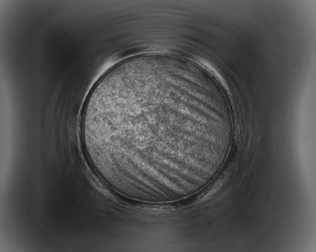 X0000086290899200704131545