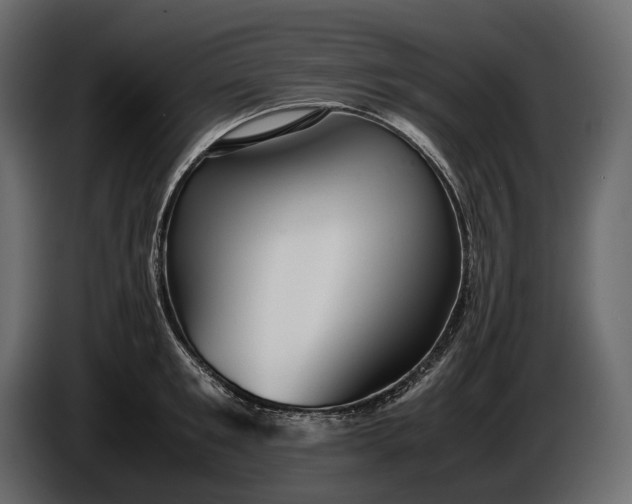 X0000086290901200704131545